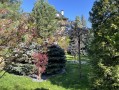 Дом с выходом на Днепр, Дамба 3-й км, КГ Срибна затока. Київська обл