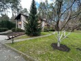 Дом 334м в сосновом лесу Рудыки. Київська обл
