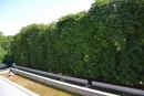 Продажа квартиры в клубном доме. Рівне