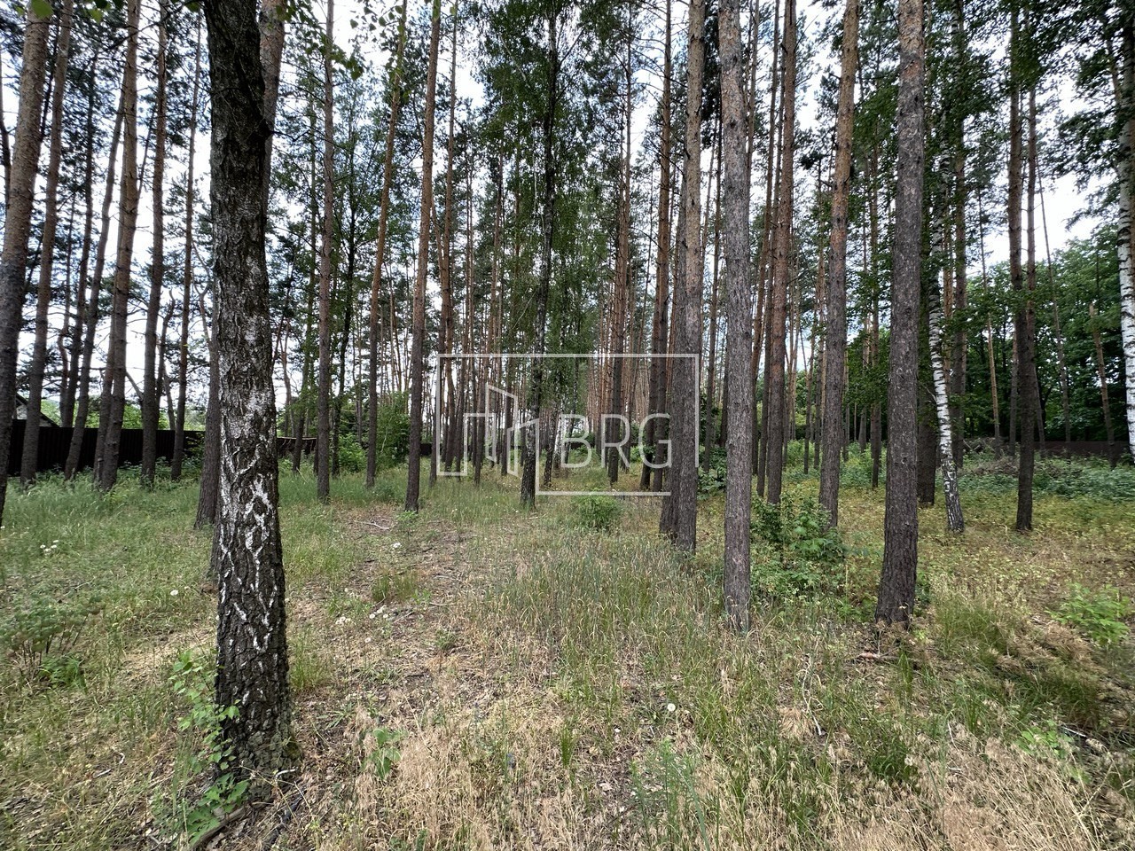 Новый дом 252м в сосновом лесу Малая Солтановка Одесская трасса. Київська обл
