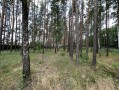 Новый дом 252м в сосновом лесу Малая Солтановка Одесская трасса. Київська обл