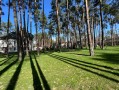 Особняк 700м с соснами на территории в Рудыках. Київська обл