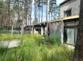Дом в сосновом лесу 650м Ходосеевка. Київська обл