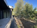 Новый современный дом 267м Плюты. Київська обл