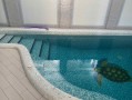 Дом КГ Тихая гавань 500м с выходом нар.Днепр. Київська обл