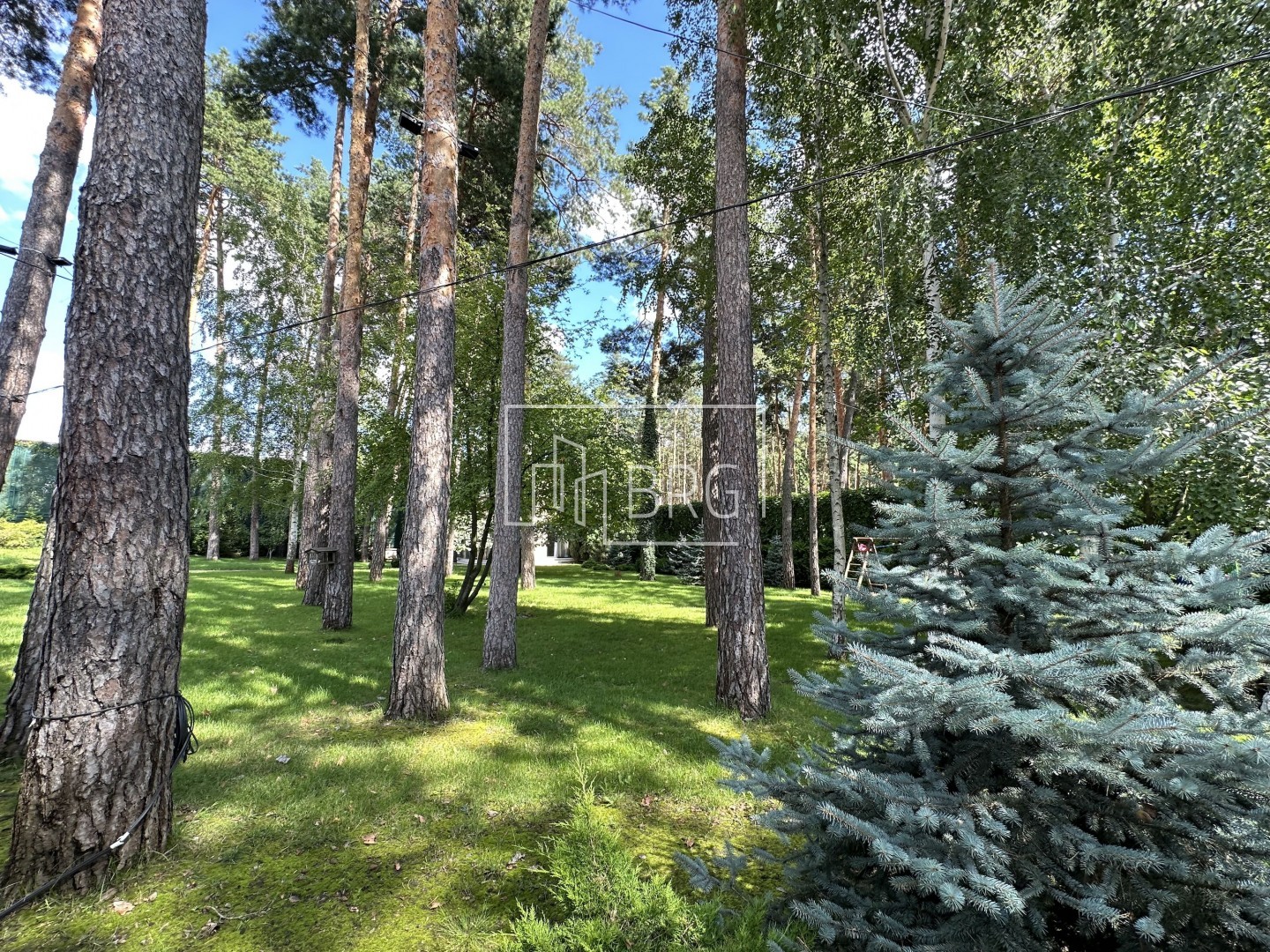 Дом 475м в соновом лесу КГ Сосновый бор. Київська обл