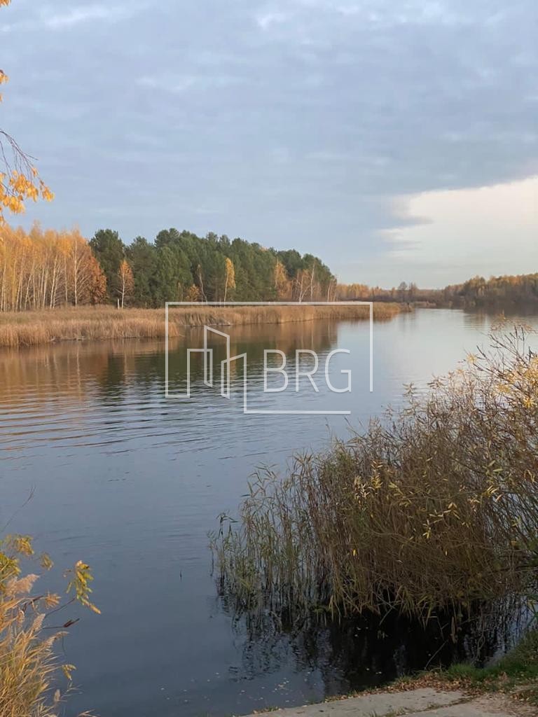 Дом 380м Рудыки Обуховский р-н. Київська обл