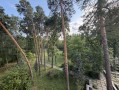 Снаторно-курортный комплекс под реконструкцию 2,73 га Пуща-Водица. Київ