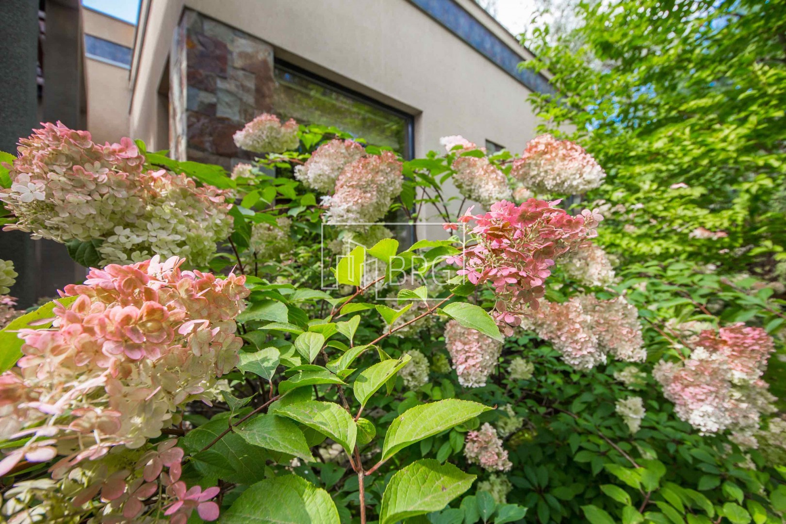 Дом 420м выход на Козинку Конча-Заспа. Київська обл