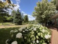 Дом 500м с бассейном гостевым домом и выходом на Козинку. Київська обл