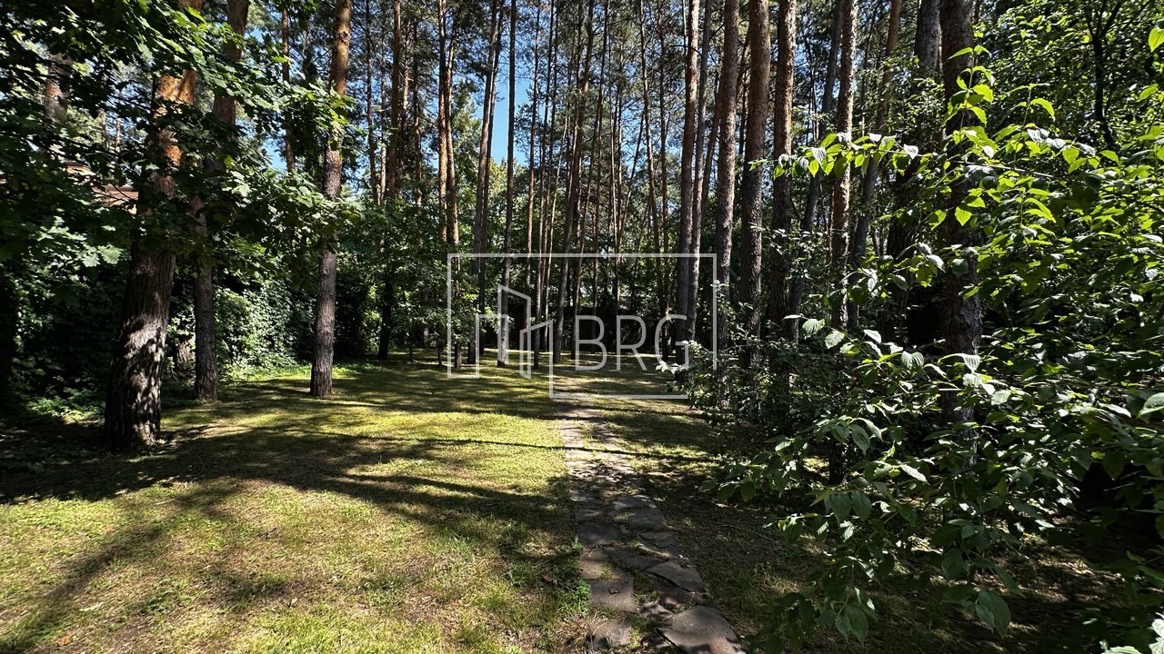 Аренда дома 400м Пятихатки с бассейном в сосновом лесу. Київська обл