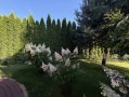 Дом 840м с выходом на Козинку Козин. Київська обл