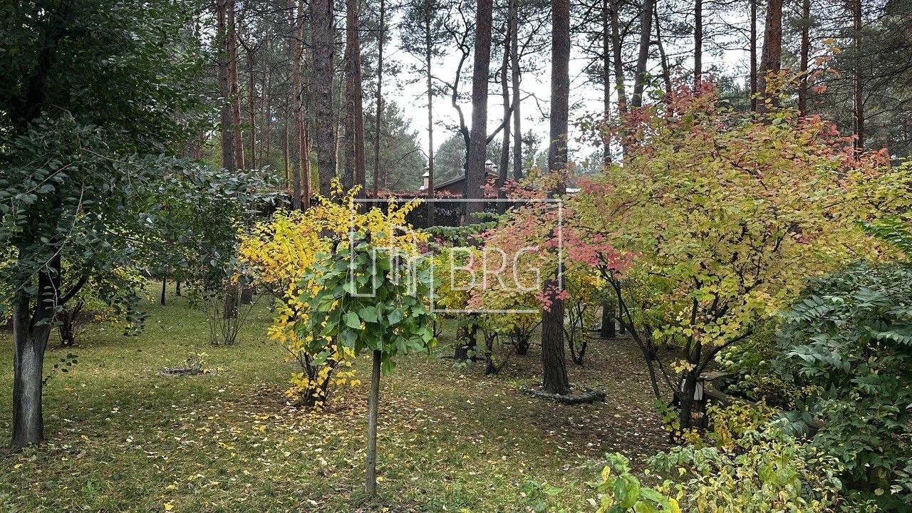 Дом 700м в сосновом лесу Пятихатки Козин. Київська обл